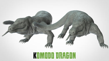 Komodo Dragon